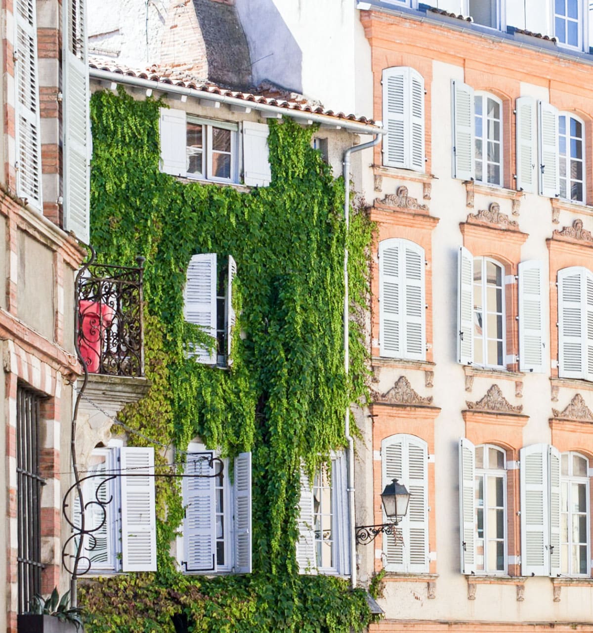 prix d’une dératisation Toulouse et Montauban
