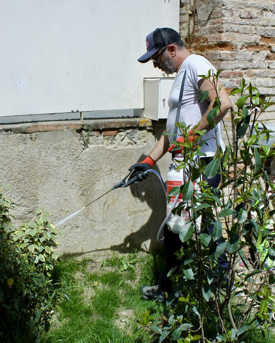 Eden-3D-desinsectisation-moustique_intervention-exterieur-jardin