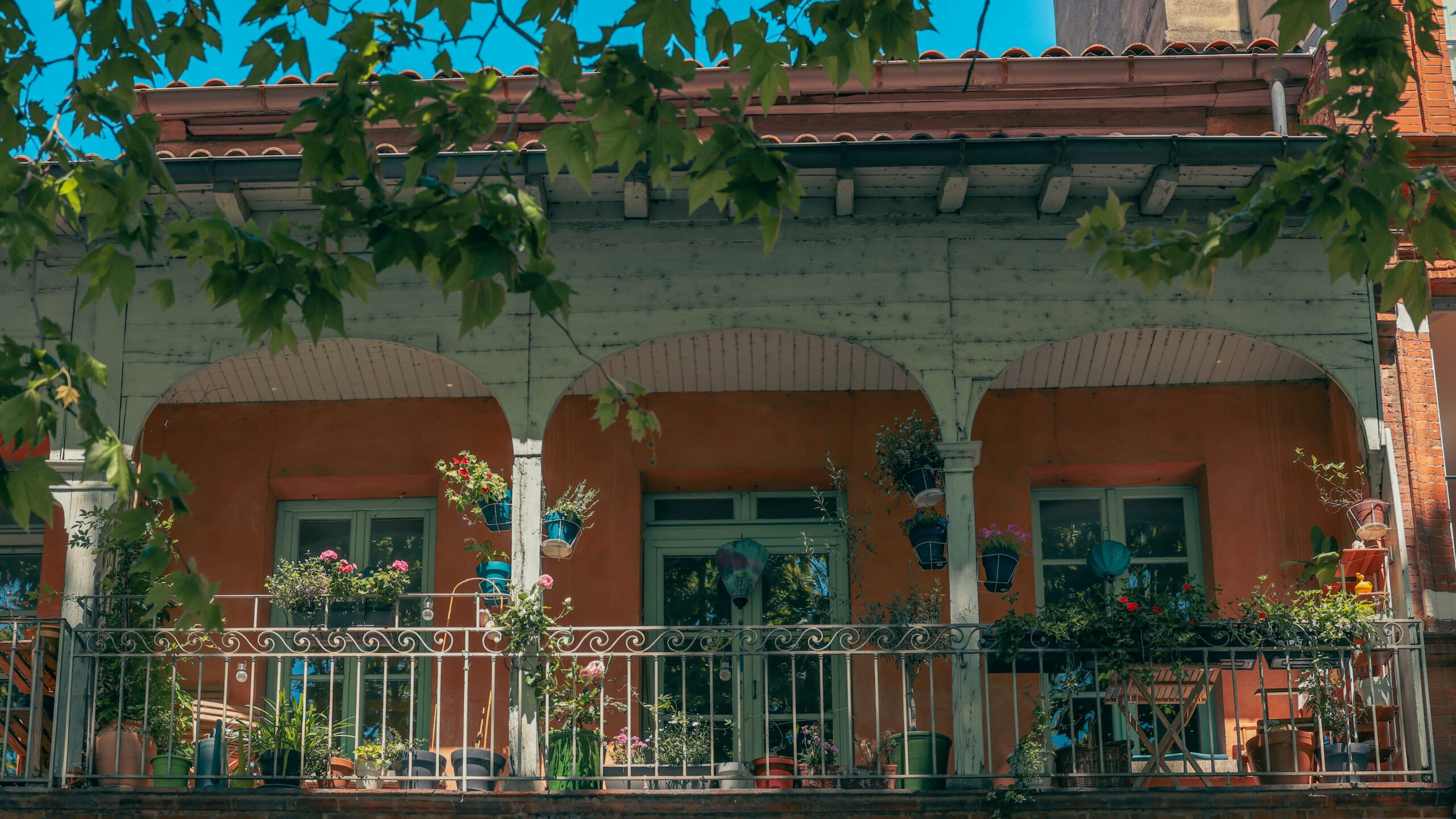 Moustiques à Toulouse : Pourquoi reviennent-ils déjà ? Notre guide pour s’en protéger.